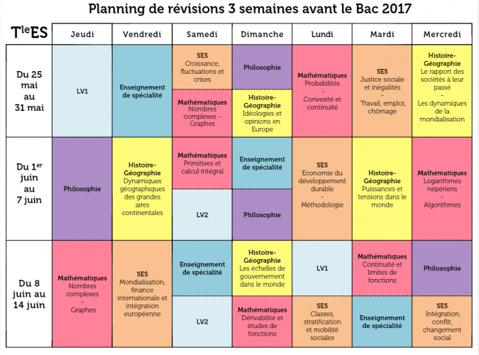exemple planning bac es