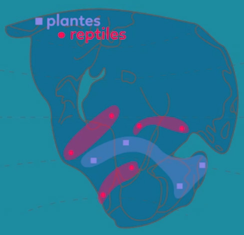 plante-reptile