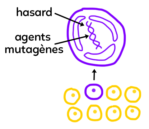 alteration-genome