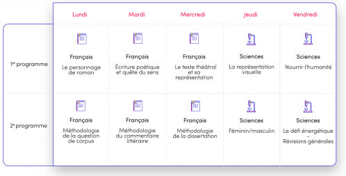 stage dernières révisions programme 1 ES