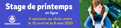 stage-printemps-2021-NL.png